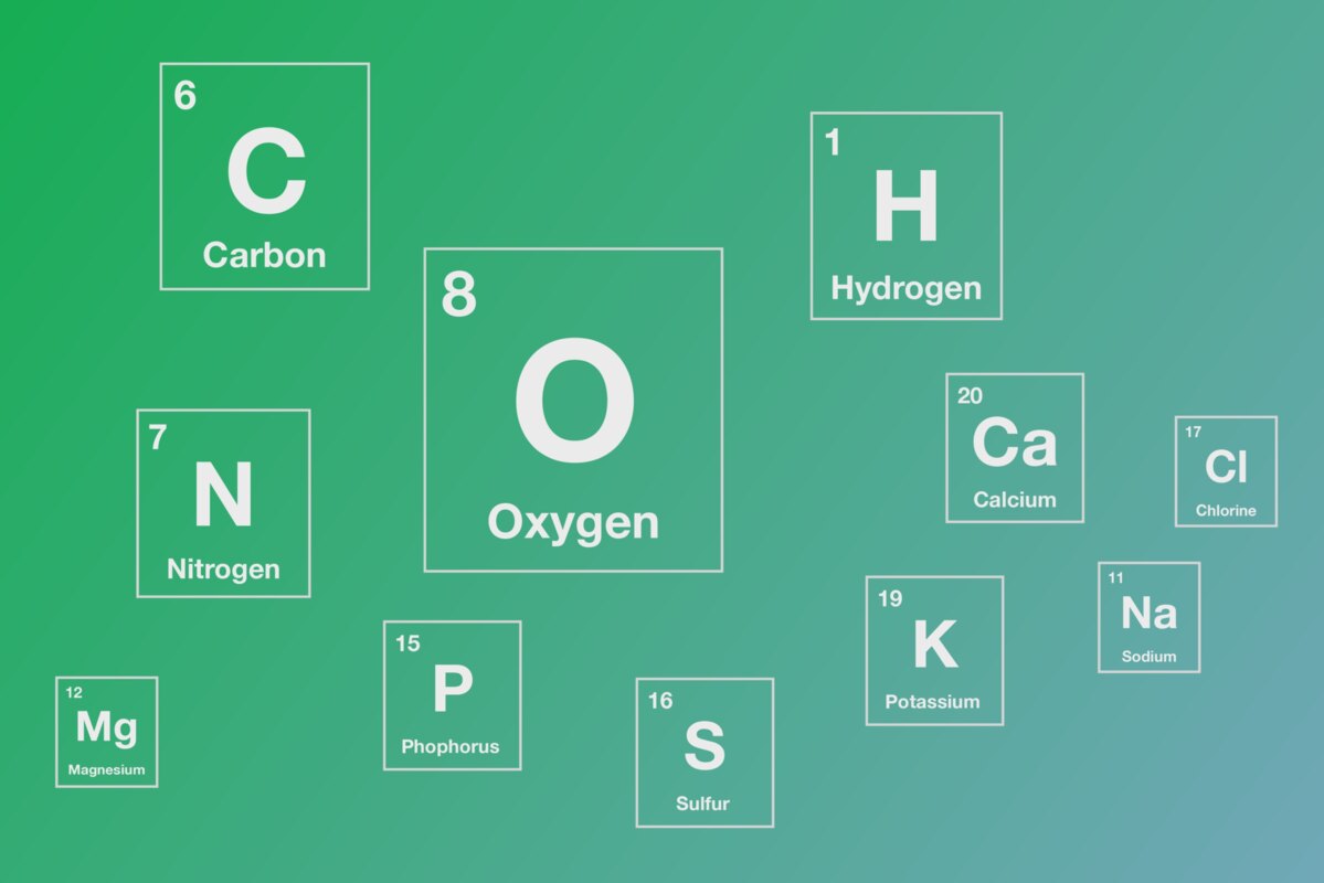 Chemistry of Life illustration