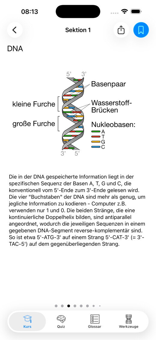 Eine illustrierte DNA-Lektion in Codon One