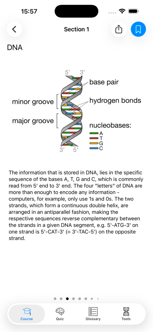 An illustrated DNA lesson in Codon One